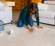 Furry Freshness Pet Stain & Odor Eliminator
