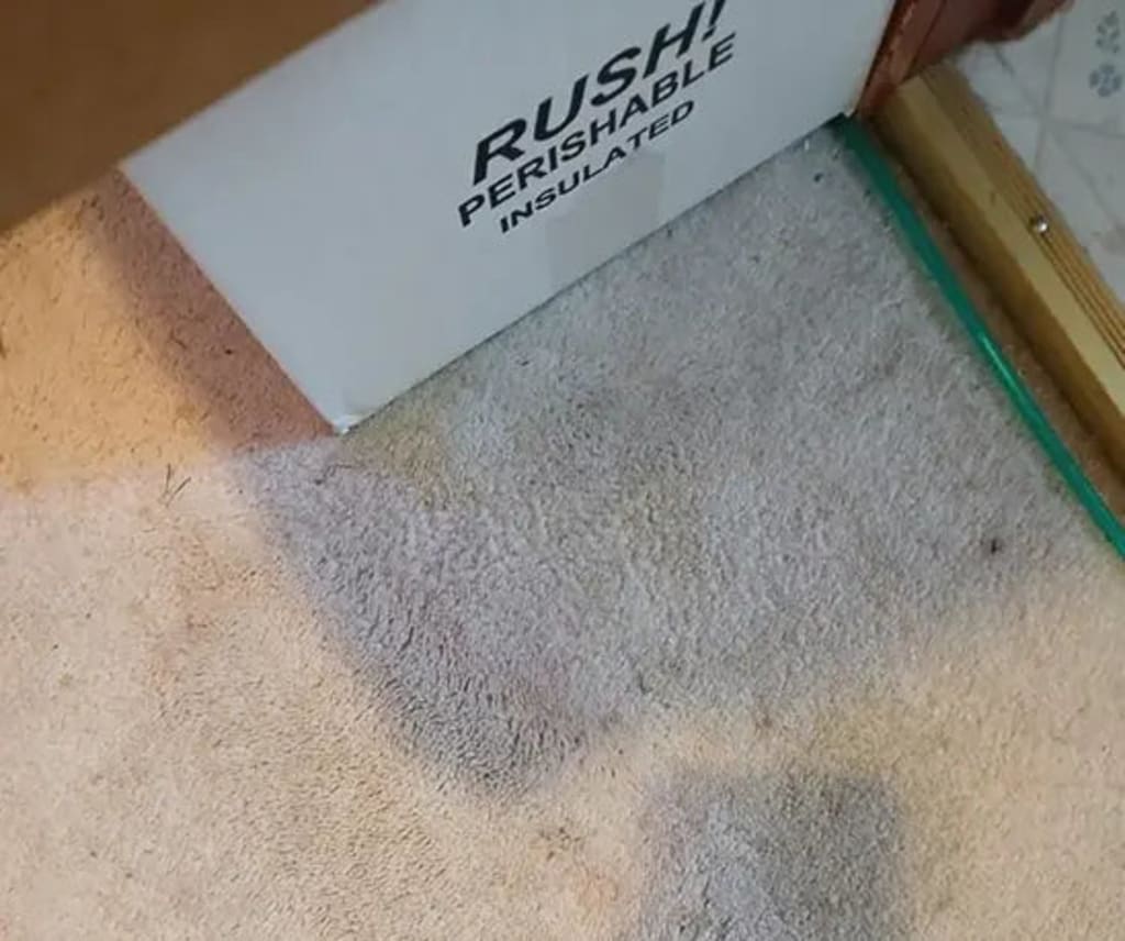 Furry Freshness Pet Stain & Odor Eliminator