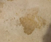 Furry Freshness Pet Stain & Strong Odor Eliminator